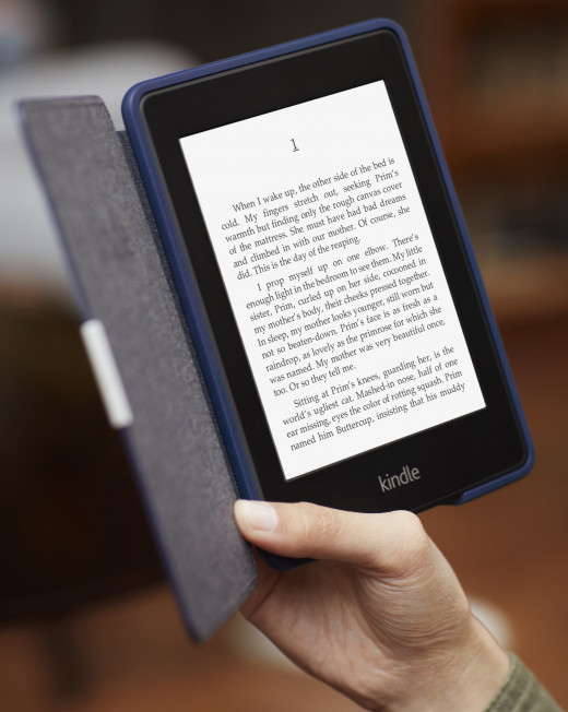 Kindle Paperwhite 3G