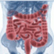 Muneeb10 profile image