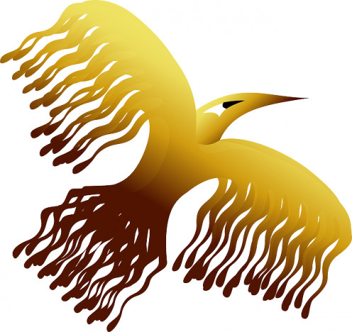 Phoenix Bird Decorative Legend Story Rise Golden