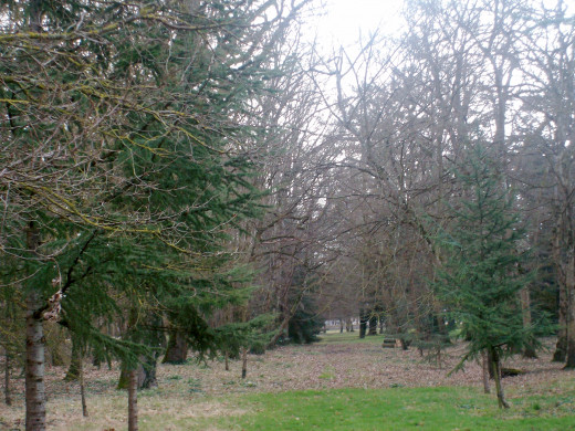 As long as you choose a path that coincides with your self, there is no wrong path. You can always change paths to get to where you want to go. 