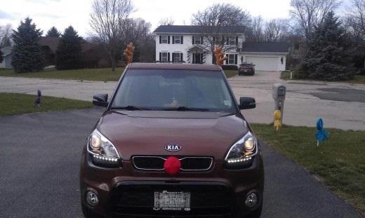 She's Dressed up in Her Christmas Best!