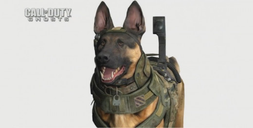 Riley is playable/usable in the campaign, and is a killstreak reward in multiplayer.