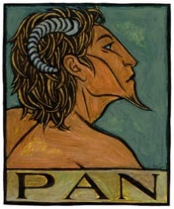 Pannish Veil: Poetry publishing with double entendre 