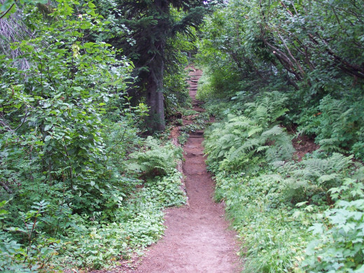 Follow the path of excellence