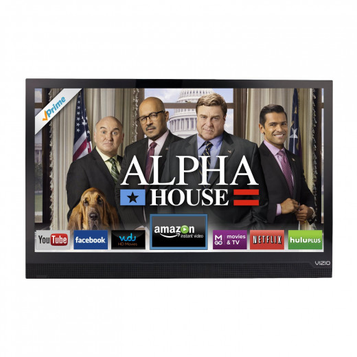 VIZIO E-Series E241i-A1 24-Inch 1080p 60Hz LED Smart HDTV 