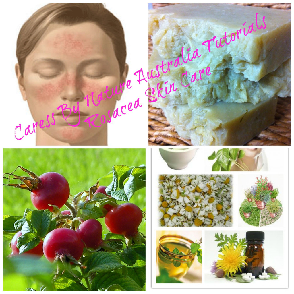 Rosehip Butter Soap for Rosacea (rohzeyshee) Skin The Making HubPages