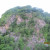 Joppenbergh Mountain. Joppenbergh Mountain.