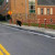 You decide, is this really a bear running across the street by our local Catholic school or is someone good at photo shop? You decide, is this really a bear running across the street by our local Catholic school or is someone good at photo shop?