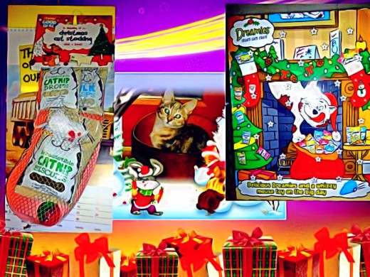 Megan with her Advent Calendar and Christmas Stocking.
