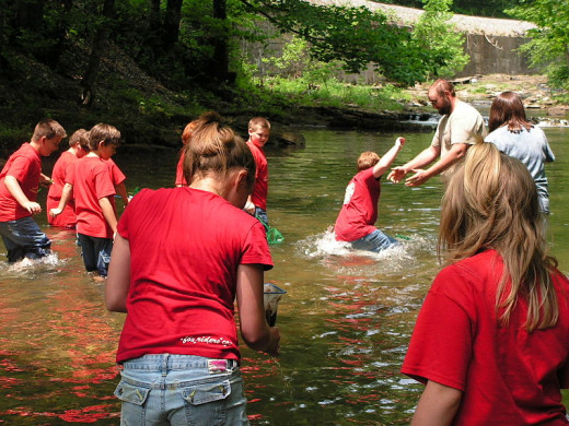 Effective field trips let students experience what things. Perhaps these students are looking for wildlife in the water.