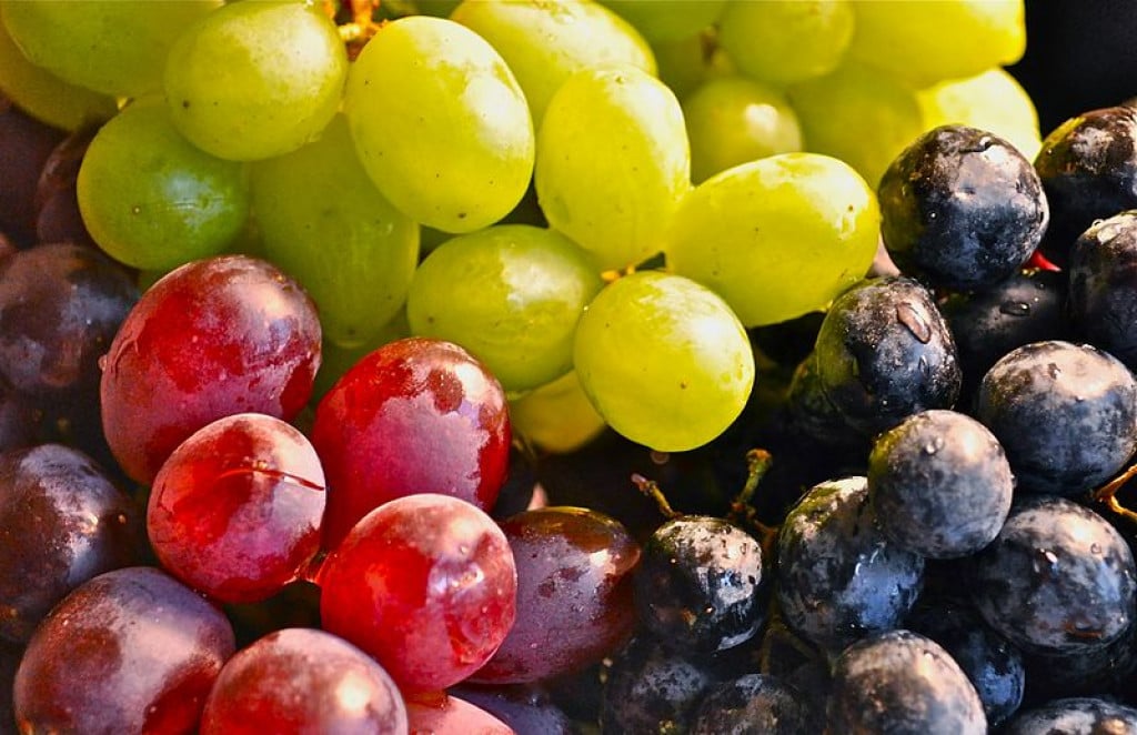 how-to-tell-if-grapes-are-ripe