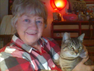 Tiger Beau Diddley Dreym.