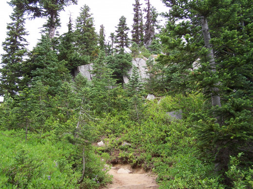 The path to publication can be rocky and steep