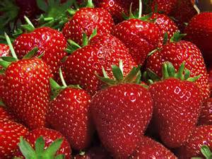 Can't tell by looking at them if they are, or are not, genetically modified