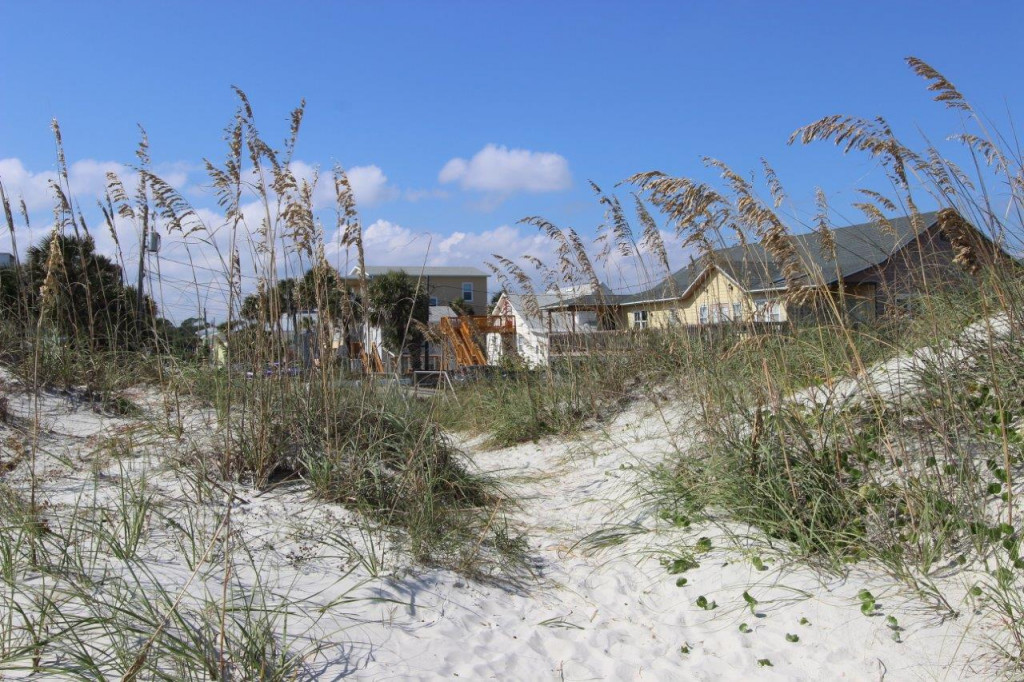 What to expect when renting a PetFriendly Vacation Home in St. Augustine, Florida