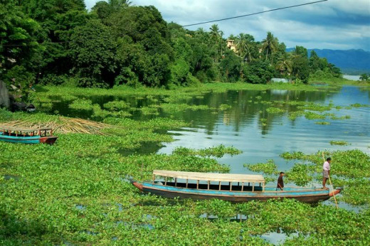 A boat in a river in Bangladesh