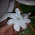 Brush glue on evenly Brush glue on evenly