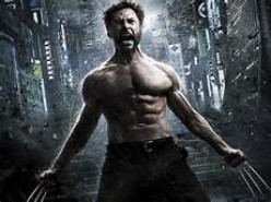 The Wolverine: A Review