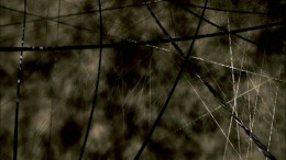 https://usercontent1.hubstatic.com/8571866_f260.jpg