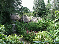10.6 Acres, 8 cottages, 7 rooms in main house
