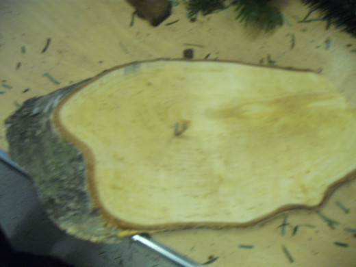 A slice cut from an old tree trunk is perfect for the base.