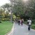 Strollers on one of the many lovely paths in the Gardens