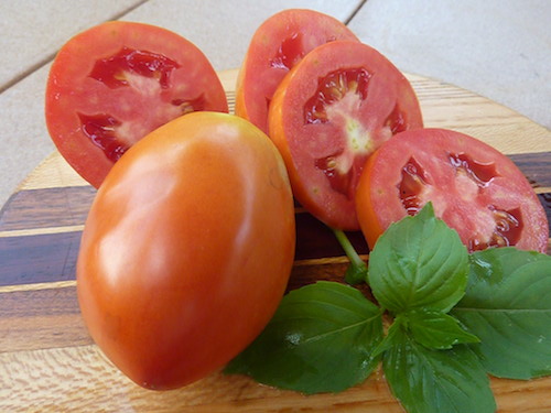 Roma or paste tomatoes start early and continue to produce all season, until first frost.