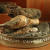 Castoreum (beaver glands extract), CC-BY-SA-3.0 Castoreum (beaver glands extract), CC-BY-SA-3.0