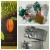 New ideas for personalized chocolate candy bar wrappers themed for Christmas. Use quality chocolate and think stockings, hostess gifts, and more! New ideas for personalized chocolate candy bar wrappers themed for Christmas. Use quality chocolate and think stockings, hostess gifts, and more!