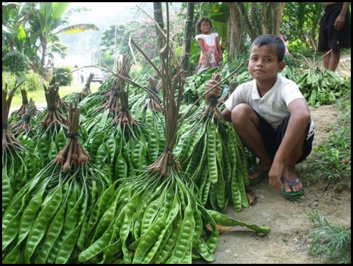 Ready to sell the petai