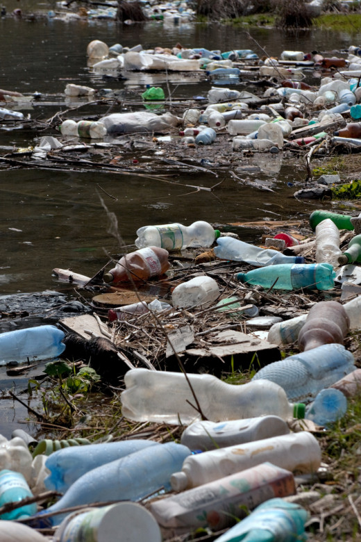 Plastics disposed of in the last place that they should be
