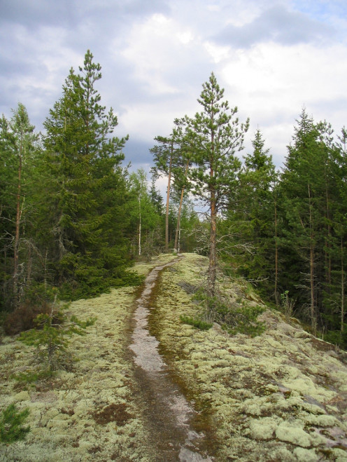 Finding the right path isn't a straight line.