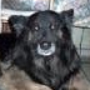 Forrman profile image