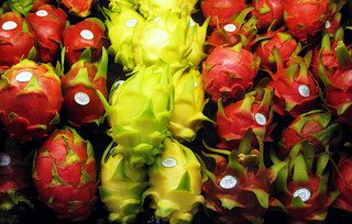 Red-skinned and Yellow-skinned Dragon Fruits or Pitayas Red-skinned and Yellow-skinned Dragon Fruits or Pitayas