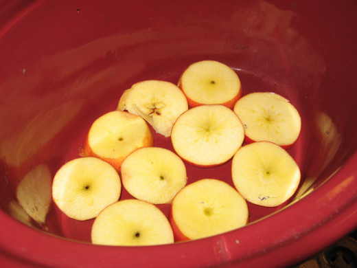 Cover bottom of cooker with apples.