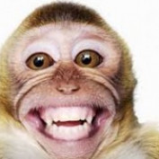 Myweeklytroll profile image