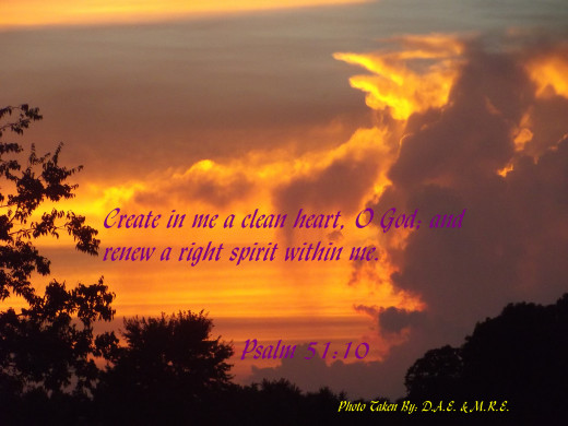 This photo is the property of Melody Wilson (me) and Dwayne Elliott. Photo taken in Delaware, Usa 2012