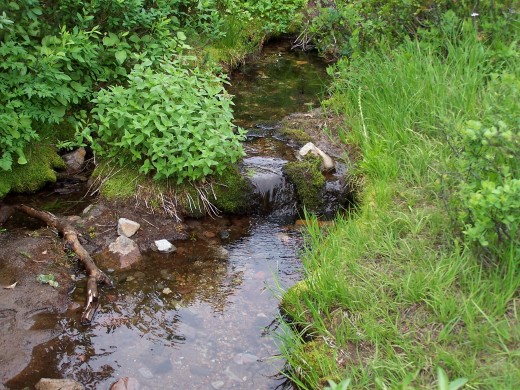The journey begins at a little stream