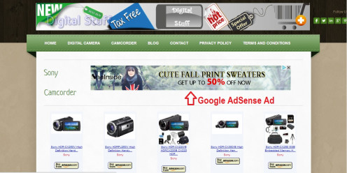 Live Google AdSense Ad