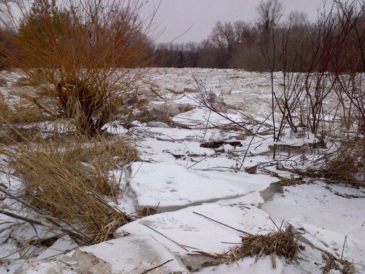 Frozen Credit River.