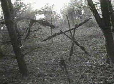 Another famous frame from the Blair Witch Project. 