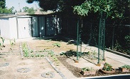 2010 Tabernacle Garden
