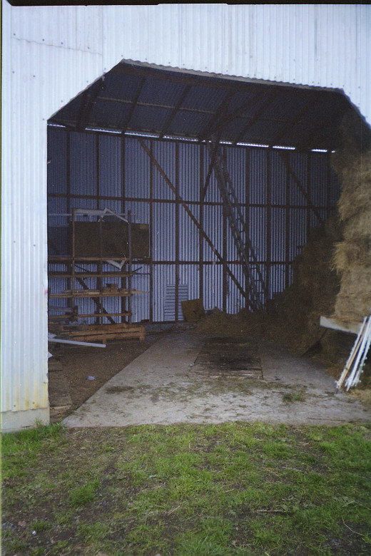 the barn before the wild wind hit us.