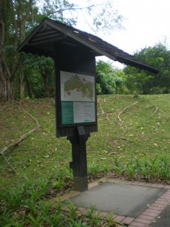 Singapore Travel: The Botanic Gardens