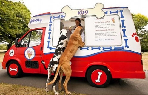There's also treat trucks for our four footed friends