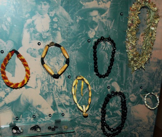 Collection at Bishop Museum