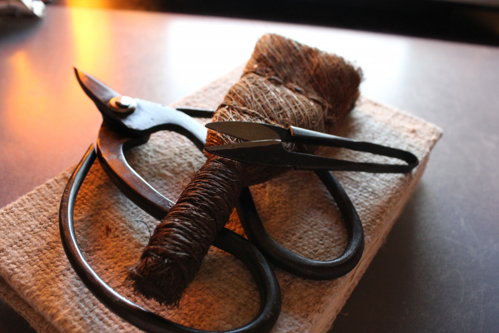 How to Use and Care for Your Bonsai Tools HubPages