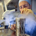 Frozen Ivf Cycle