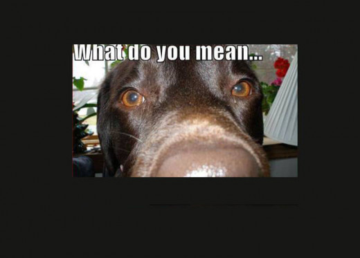 THIS, is all I wanted to be visible in the FaceBook Cover Picture Panel... until you CLICK on the pic to reveal...