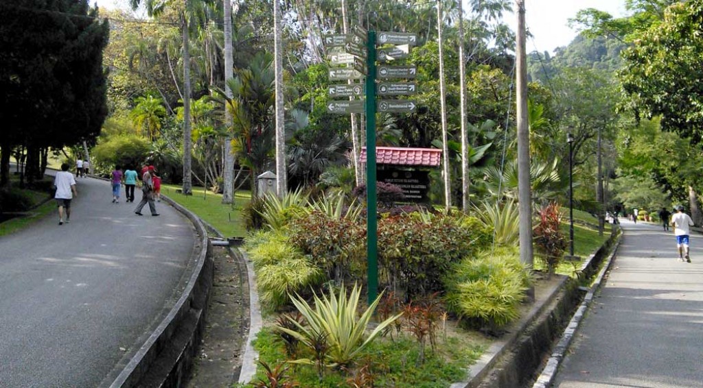 Penang Botanical Gardens. | HubPages